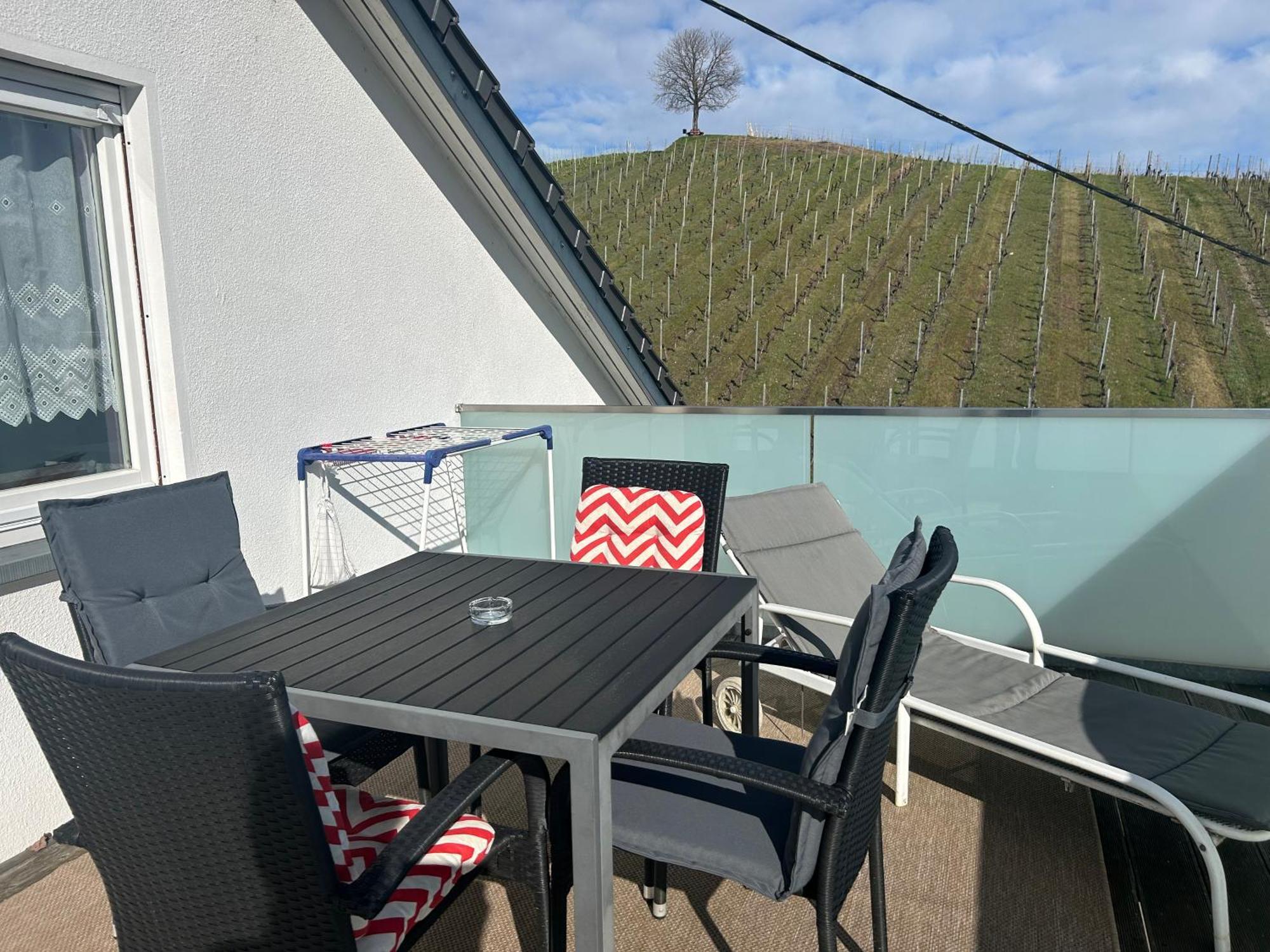 Gaestehaus Sommertal Mit Pool Im Garten, Eigener Parkplatz, 800M Zum Bodensee, 300M Zur Altstadt Meersburg Eksteriør billede