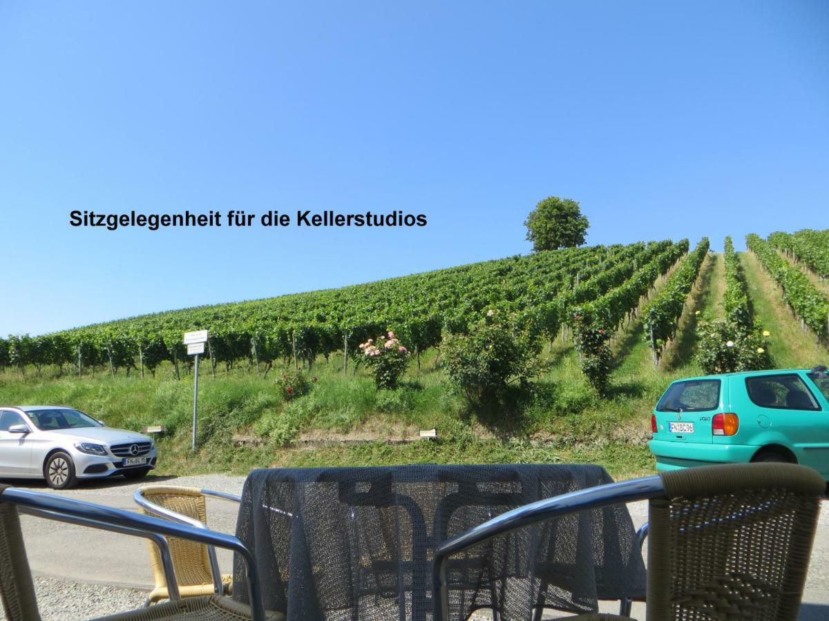 Gaestehaus Sommertal Mit Pool Im Garten, Eigener Parkplatz, 800M Zum Bodensee, 300M Zur Altstadt Meersburg Eksteriør billede